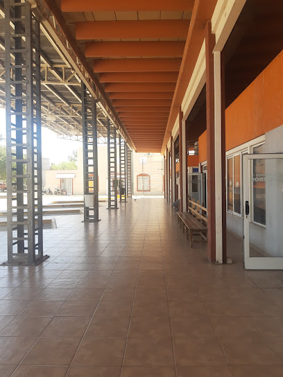 AF1QipPxaPtHqXvPvCmarybD74BwhllC65zakP0o y5qw408 h544 k no